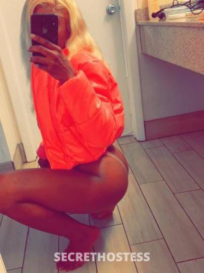 Alexis💦💞 30Yrs Old Escort Treasure Coast FL Image - 3