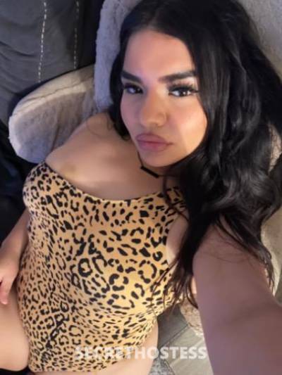 Alize 21Yrs Old Escort Fresno CA Image - 0