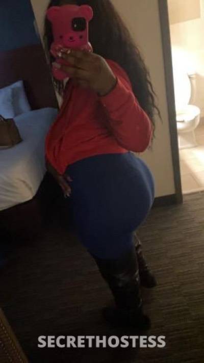 Angel 28Yrs Old Escort Rockford IL Image - 8