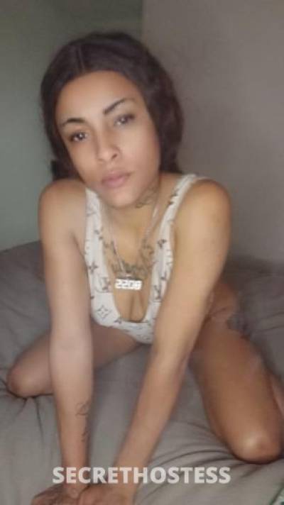 Buttercup 22Yrs Old Escort Baltimore MD Image - 5