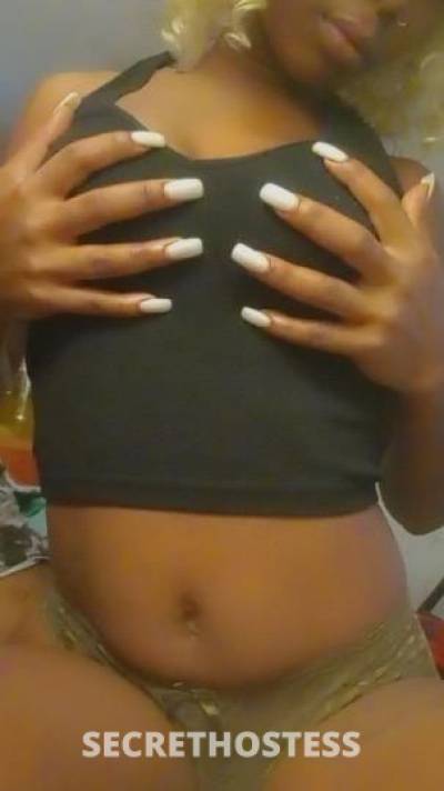 Candy 25Yrs Old Escort Orlando FL Image - 4