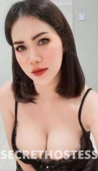 Clare 25Yrs Old Escort Maitland Image - 5