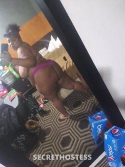 Coco 24Yrs Old Escort Chicago IL Image - 8