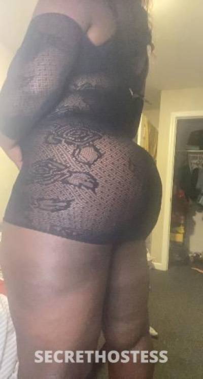 Coco 30Yrs Old Escort Staten Island NY Image - 3