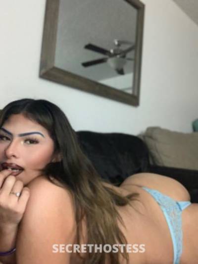 FreakyKitty😻 22Yrs Old Escort Phoenix AZ Image - 2