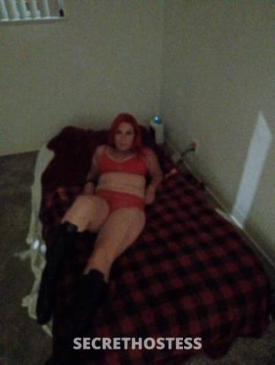 Jamie 28Yrs Old Escort Denver CO Image - 1