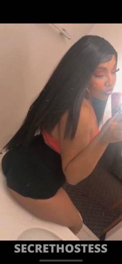 Kandi 25Yrs Old Escort Oakland CA Image - 4