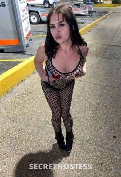 Kitty 21Yrs Old Escort Sacramento CA Image - 3