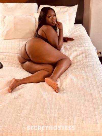 KoKo 25Yrs Old Escort Concord CA Image - 1