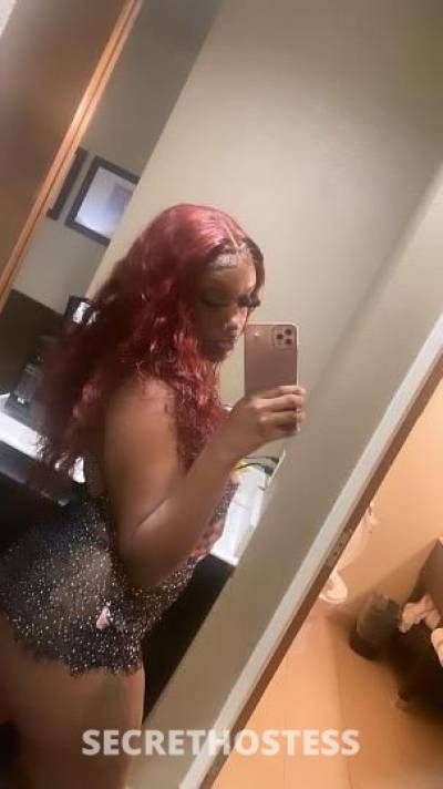 Lundyn 23Yrs Old Escort Little Rock AR Image - 4