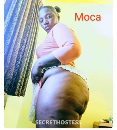 MOCA 27Yrs Old Escort Los Angeles CA Image - 3