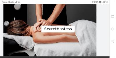 B2b massage by a male for Couples&amp;females outcall  in Dublin