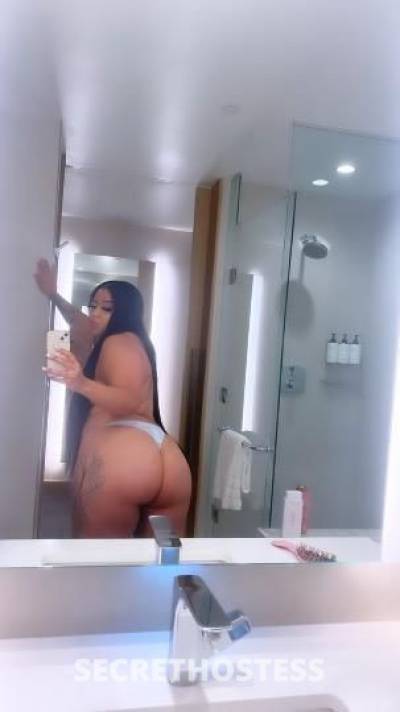 Nadia 24Yrs Old Escort Los Angeles CA Image - 5