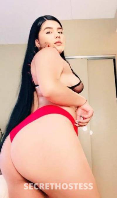 Paola 22Yrs Old Escort Chicago IL Image - 1
