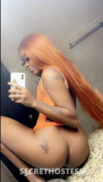 Rain 24Yrs Old Escort New Orleans LA Image - 3