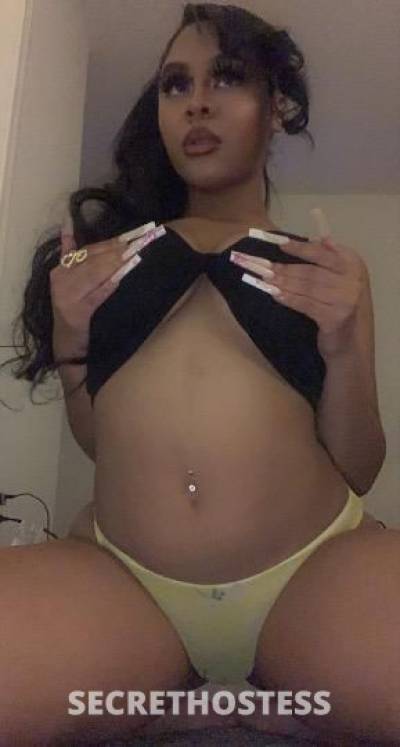 19 Year Old Asian Escort San Diego CA - Image 2