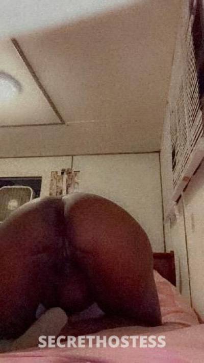 SamDior 24Yrs Old Escort Eastern NC Image - 3