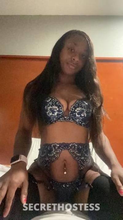 Sapphire 24Yrs Old Escort Oakland CA Image - 1