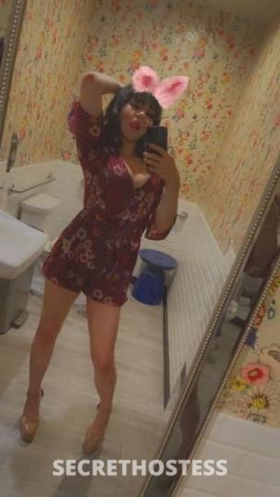 Selena 25Yrs Old Escort Phoenix AZ Image - 2