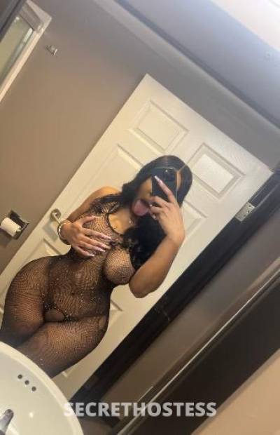 Shayla 27Yrs Old Escort Fort Lauderdale FL Image - 0