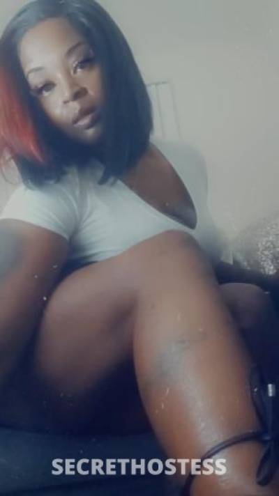 Shine 37Yrs Old Escort Cincinnati OH Image - 5