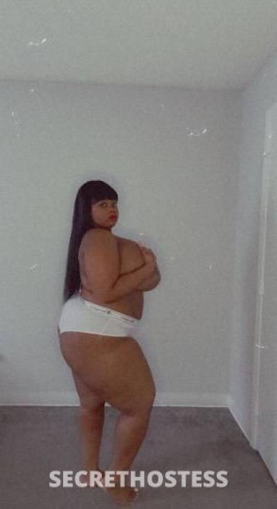 TriceyanaRose 21Yrs Old Escort 162CM Tall Tampa FL Image - 2