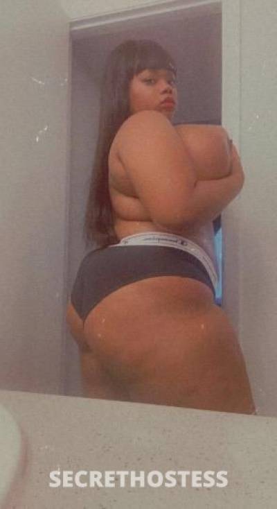 TriceyanaRose 21Yrs Old Escort 162CM Tall Tampa FL Image - 3