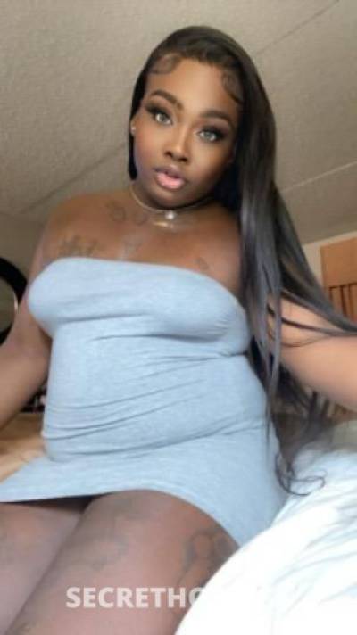 Tslilbaby 27Yrs Old Escort Jacksonville FL Image - 10