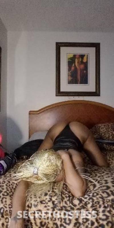 kristal 37Yrs Old Escort Orlando FL Image - 8