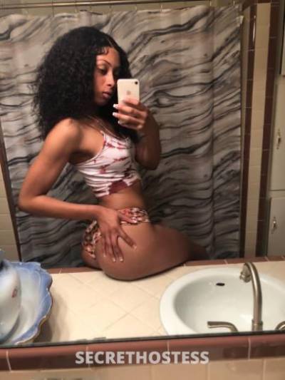 19Yrs Old Escort Houston TX Image - 3