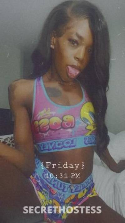 24Yrs Old Escort Memphis TN Image - 8