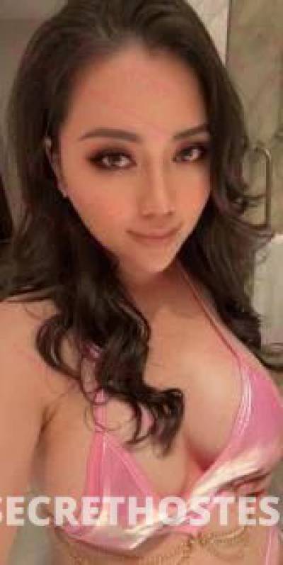 26Yrs Old Escort Size 8 Mount Gambier Image - 4