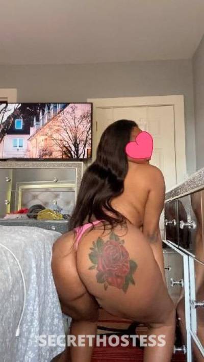 Abby 27Yrs Old Escort Bronx NY Image - 1