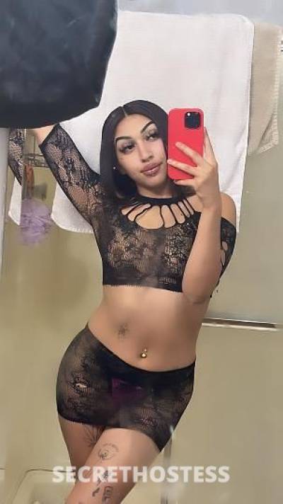 19 Year Old Escort Phoenix AZ - Image 2