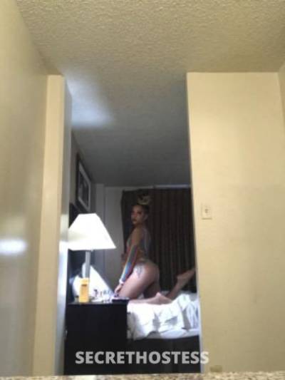 Alouis 29Yrs Old Escort Waco TX Image - 8