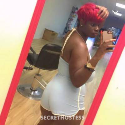 Ari 26Yrs Old Escort Albany GA Image - 0