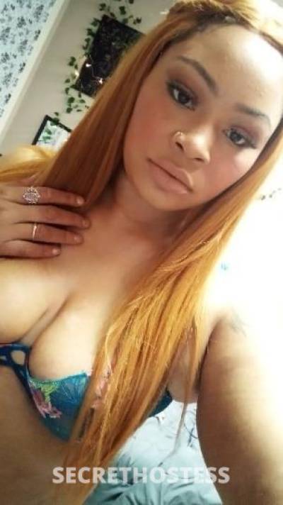 Eveilynn 26Yrs Old Escort Nashville TN Image - 1