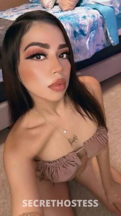 Jinx 21Yrs Old Escort Seattle WA Image - 8