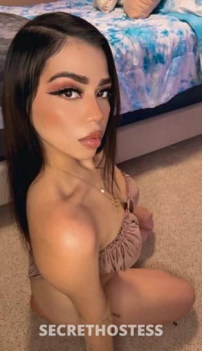 Jinx 21Yrs Old Escort Seattle WA Image - 11
