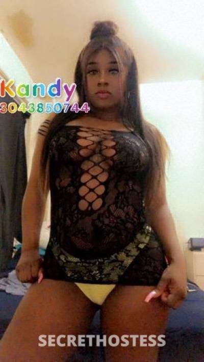 Kandy 27Yrs Old Escort Central Jersey NJ Image - 3