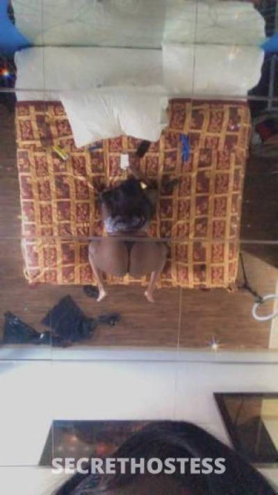 Kay 26Yrs Old Escort Savannah GA Image - 1