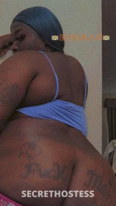 Kim 27Yrs Old Escort Tampa FL Image - 5