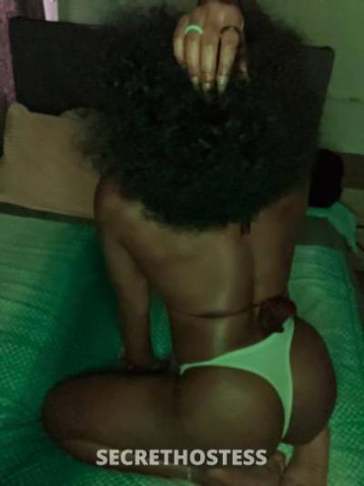 LaLa🤓 31Yrs Old Escort Raleigh-Durham NC Image - 0