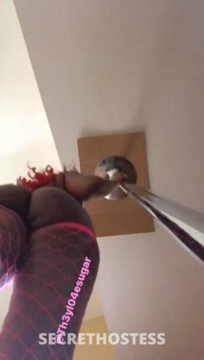 Milan 23Yrs Old Escort Dallas TX Image - 8