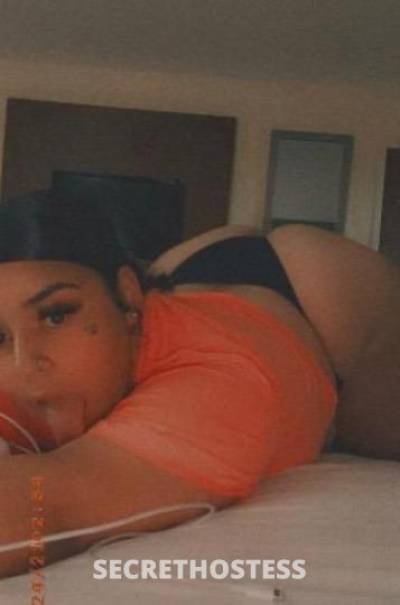 27 year old Dominican Escort in El Paso TX ✨Freaky NEW Girl ✨ BIG BOOTY