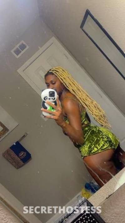 SPLASH 26Yrs Old Escort Beaumont TX Image - 1