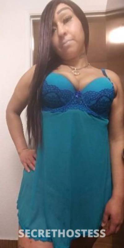 STAR 28Yrs Old Escort Seattle WA Image - 1