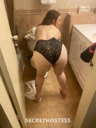 Sexyred 31Yrs Old Escort Tampa FL Image - 0