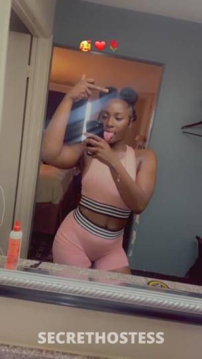 Shaay 24Yrs Old Escort Houston TX Image - 5