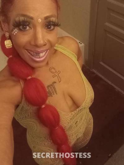 Sparkle/sara 38Yrs Old Escort Houston TX Image - 1